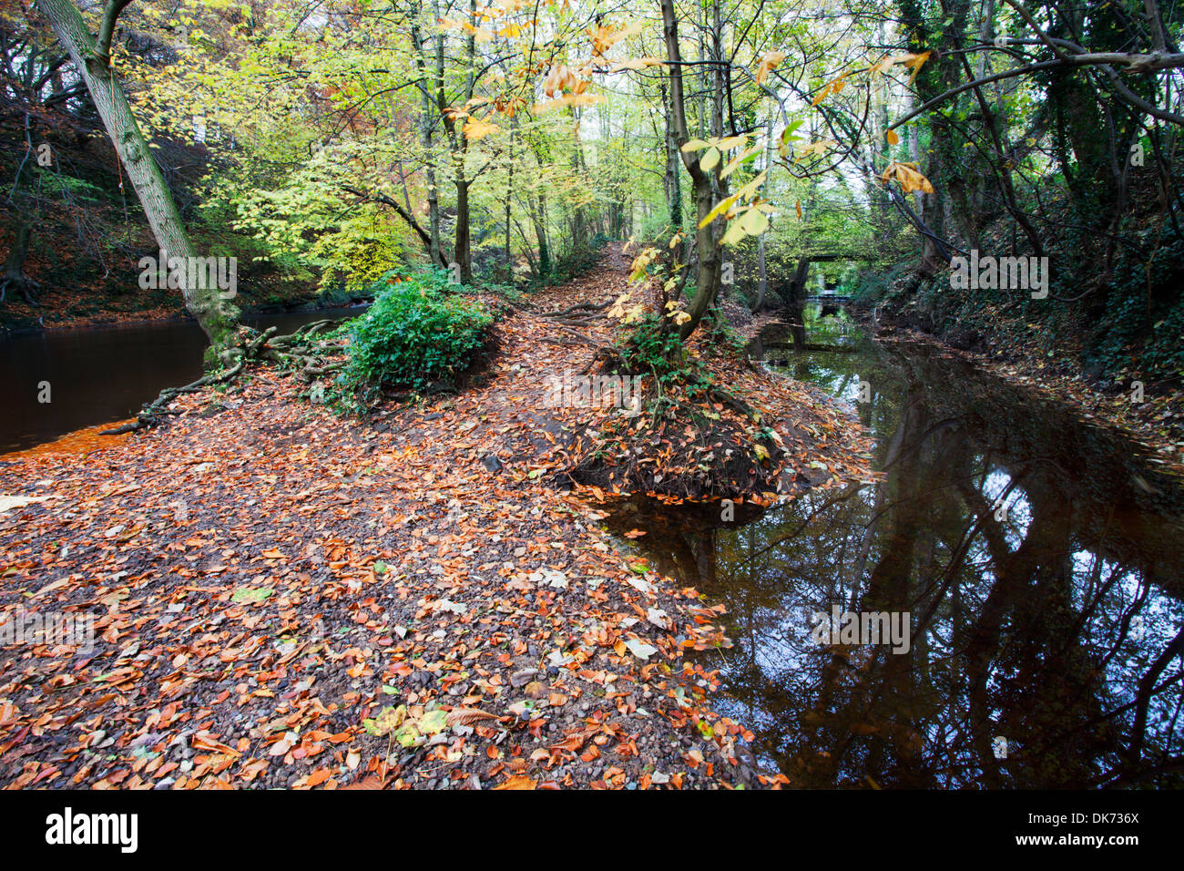 Old Mill Race und Fluß Nidd im Herbst Knaresborough North Yorkshire England Stockfoto