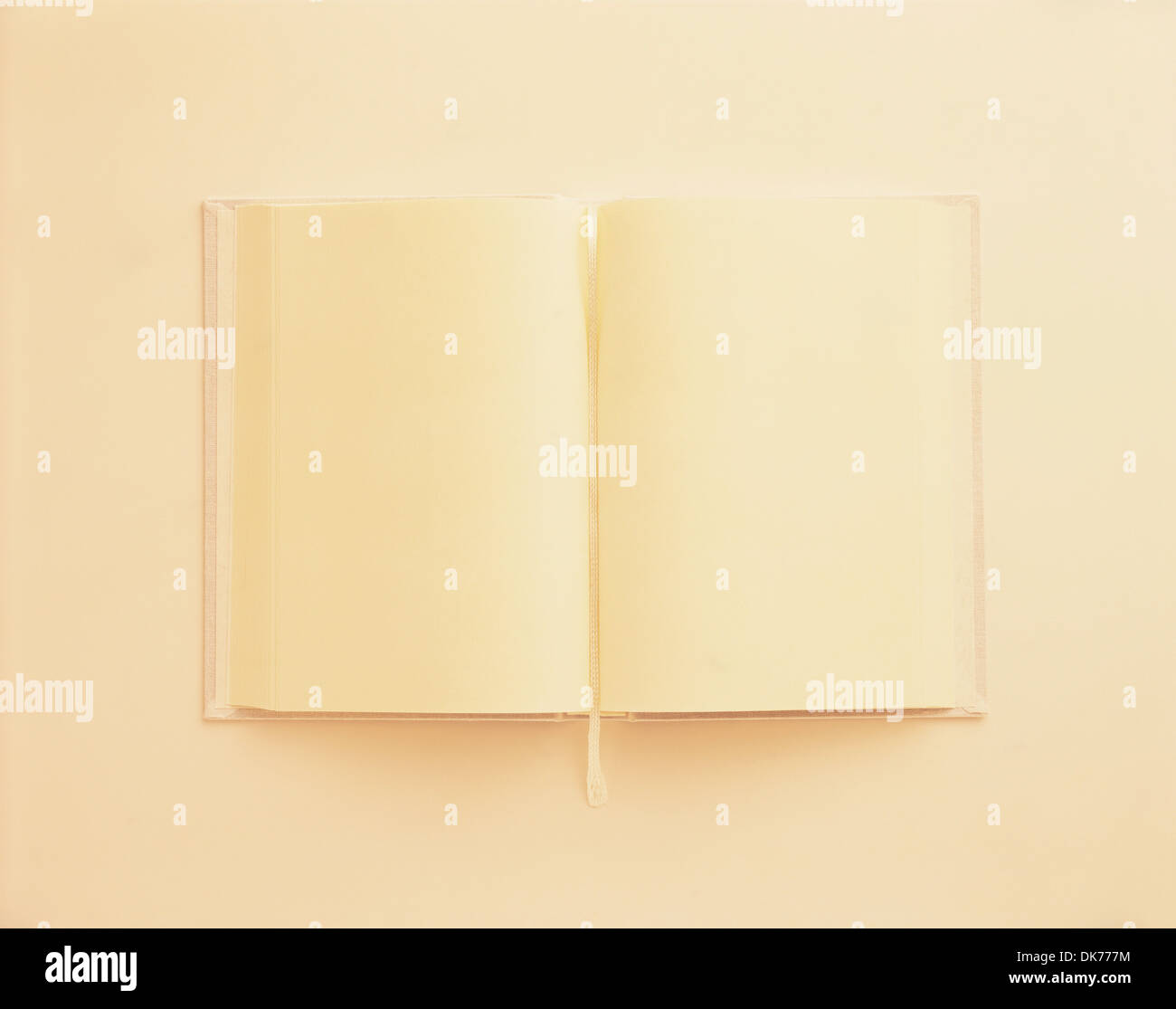 Leeres Buch Stockfoto