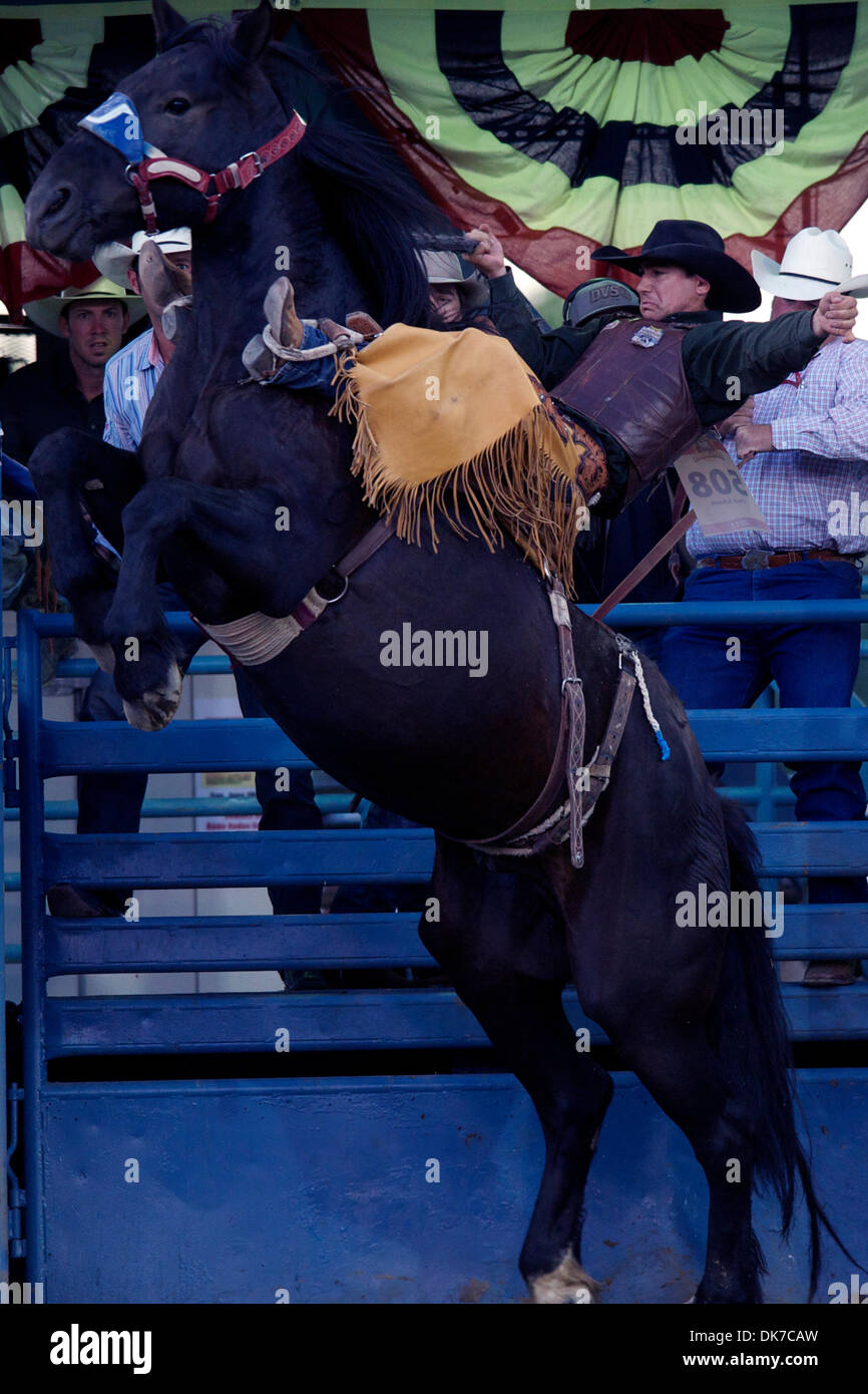 19. Juni 2011 - Reno, Nevada, USA - Chuck Schmidt von Keldron, SD reitet Shadow Dancer aus der Rutsche beim Reno Rodeo.  Schmidt ein 79 und gewann den Tag. (Kredit-Bild: © Matt Cohen/Southcreek Global/ZUMAPRESS.com) Stockfoto