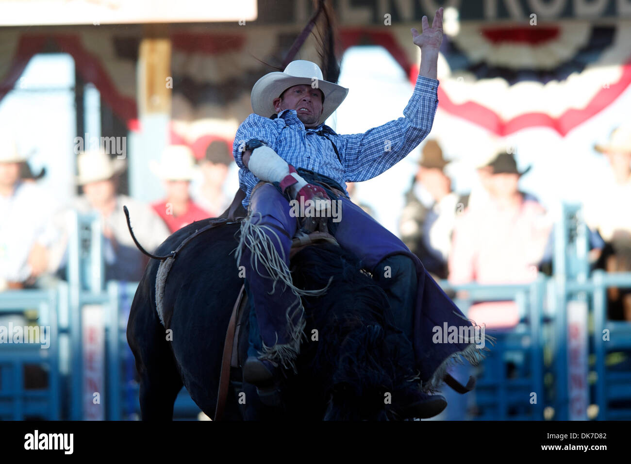 20. Juni 2011 - Reno, Nevada, USA - reitet Brian Bain von Culver, oder 922 beim Reno Rodeo. (Kredit-Bild: © Matt Cohen/Southcreek Global/ZUMAPRESS.com) Stockfoto