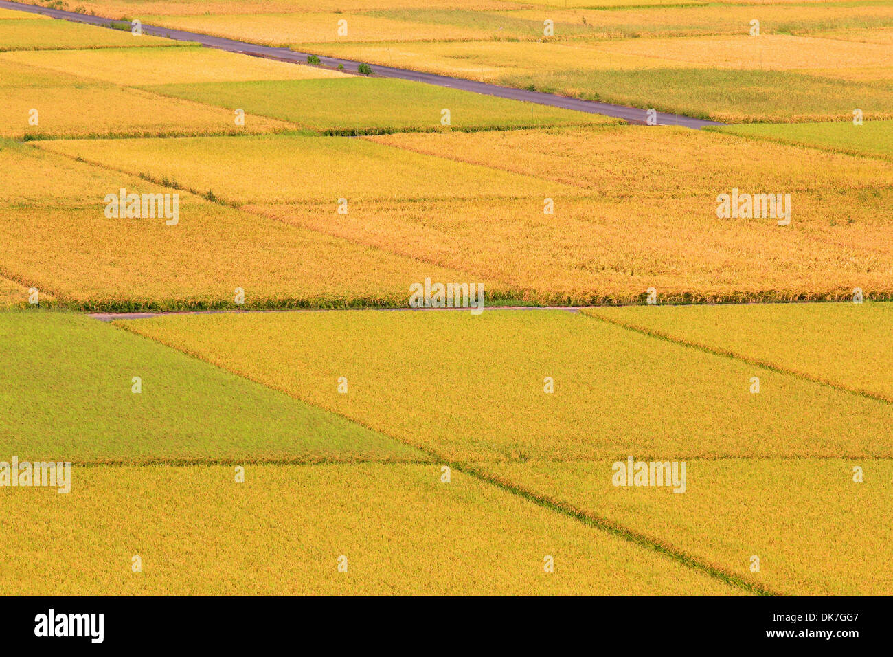Präfektur Kanagawa, Japan Stockfoto