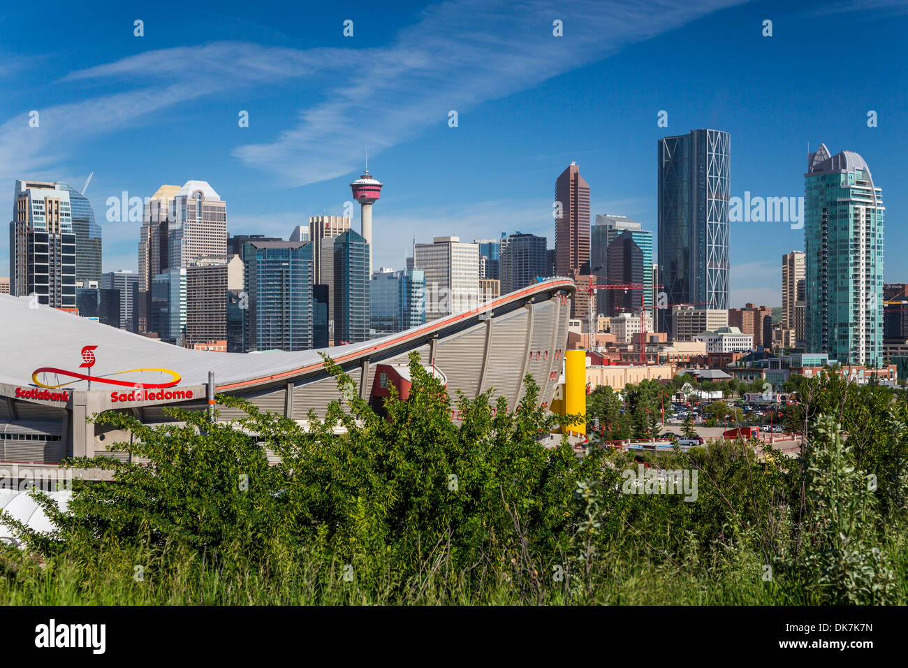 Die Scotiabank Saddledome und die Skyline der Stadt von Calgary, Alberta, Kanada Stockfoto