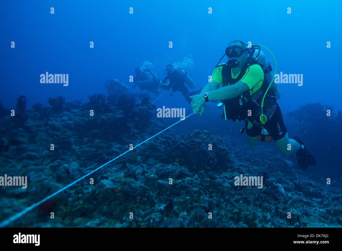Taucher, die in der aktuellen hängen Stockfoto