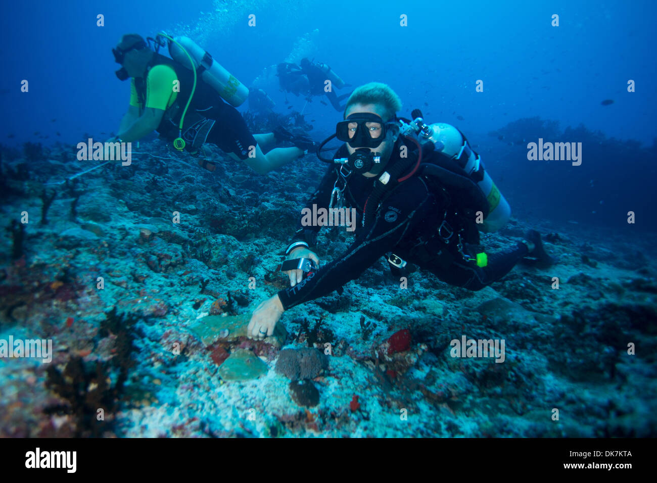 Taucher halten Riff in currentq Stockfoto
