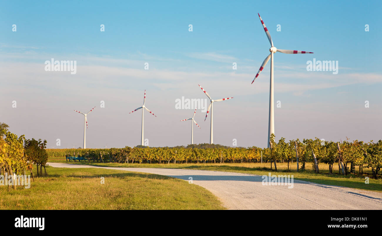 Windturbine und herbstliche Weinberge in Ost-Österreich Stockfoto