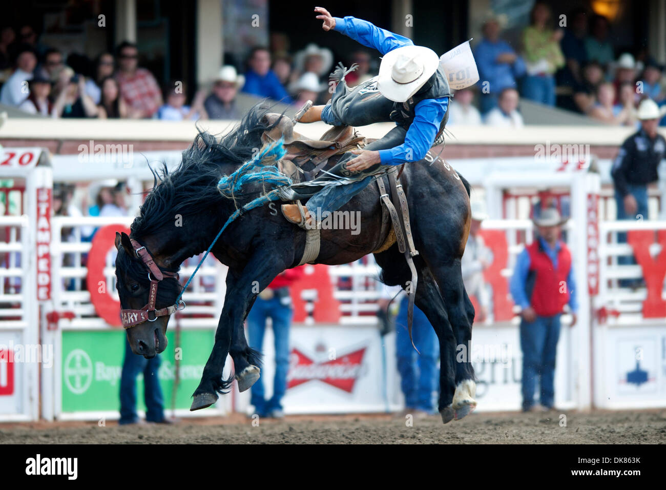 10. Juli 2011 ruft - Calgary, Alberta, Kanada - Sattel Bronc Reiter Jesse Bail Spearfish, SD aus sträubte sich nach dem Reiten Special Delivery bei der Calgary Stampede in Calgary, AB, Kanada.  Bail Platz 5 am Tag mit einem Score von 79. (Kredit-Bild: © Matt Cohen/Southcreek Global/ZUMAPRESS.com) Stockfoto