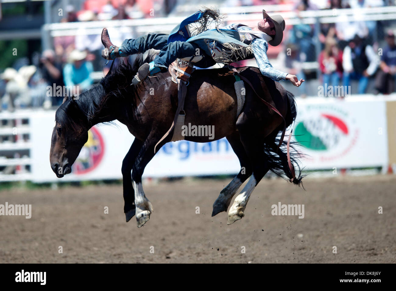 24. Juli 2011 - Salinas, Kalifornien, USA - Dave Worsfold von Queensland, AU Fahrten Danged wenn Sie tun, während die kurze Runde in Kalifornien Rodeo Salinas in Salinas, CA. (Credit-Bild: © Matt Cohen/Southcreek Global/ZUMAPRESS.com) Stockfoto