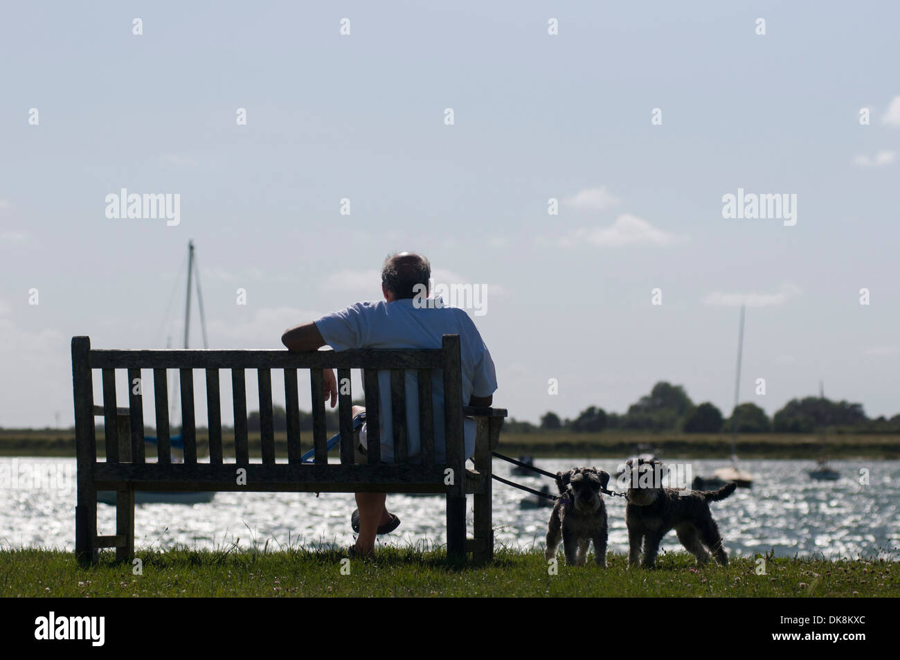 Ein Mann mit seinen Hunden sitzt auf einer Bank am Meer Stockfoto