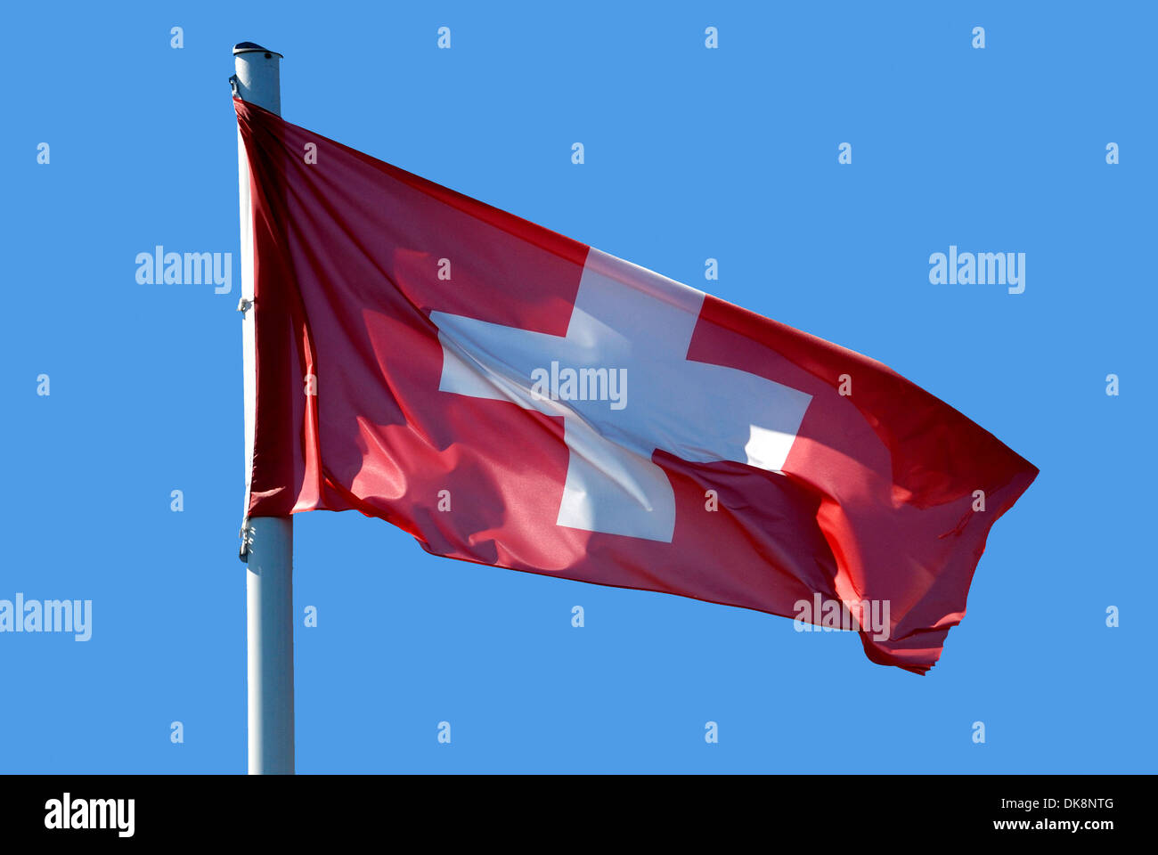 Nationalflagge der Schweiz. Stockfoto