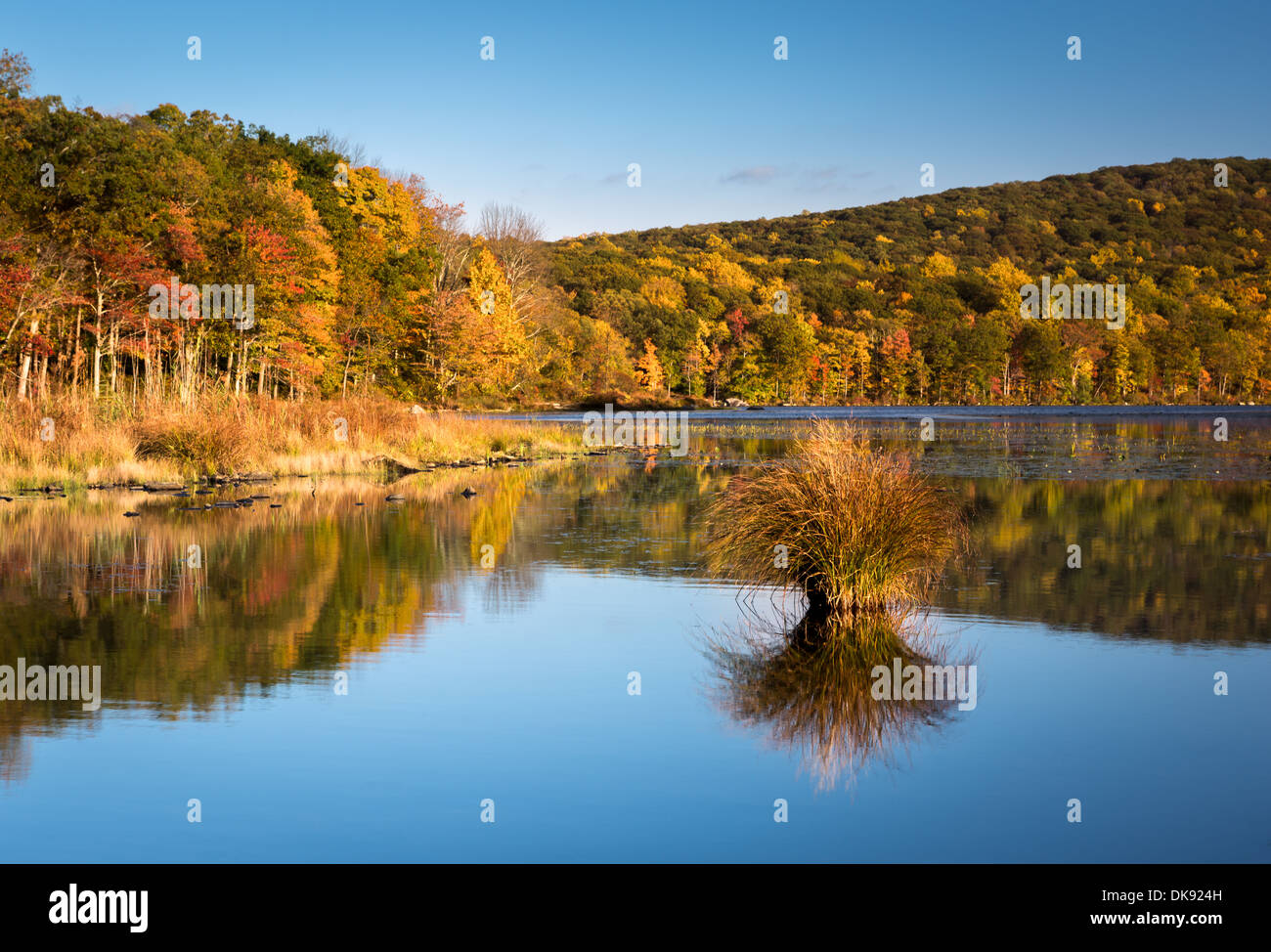 Farben des Herbstes Laub spiegelt sich in Mine im Silbersee (UpState New York) an einem sonnigen Nachmittag. Stockfoto