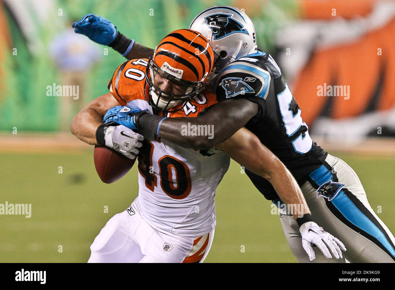 25. August 2011 - Cincinnati, Ohio, USA - Cincinnati Bengals Runningback Brian Leonard (40) in Spielaktion in der NFL Football-Spiel zwischen den Carolina Panthers und den Cincinnati Bengals in Cincinnati, Ohio. Die Bengals führen die Panthers 24-7 zur Halbzeit. (Kredit-Bild: © John Longo/Southcreek Global/ZUMAPRESS.com) Stockfoto