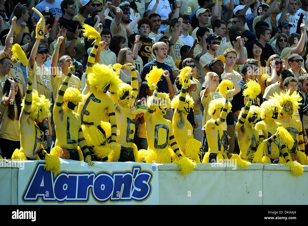 17. September 2011 - Atlanta, Georgia, USA - der Schwarm im Bobby Dodd Stadium in Atlanta Georgia.  Georgia Tech gewinnt 66-24 (Credit-Bild: © Marty Bingham/Southcreek Global/ZUMAPRESS.com) Stockfoto