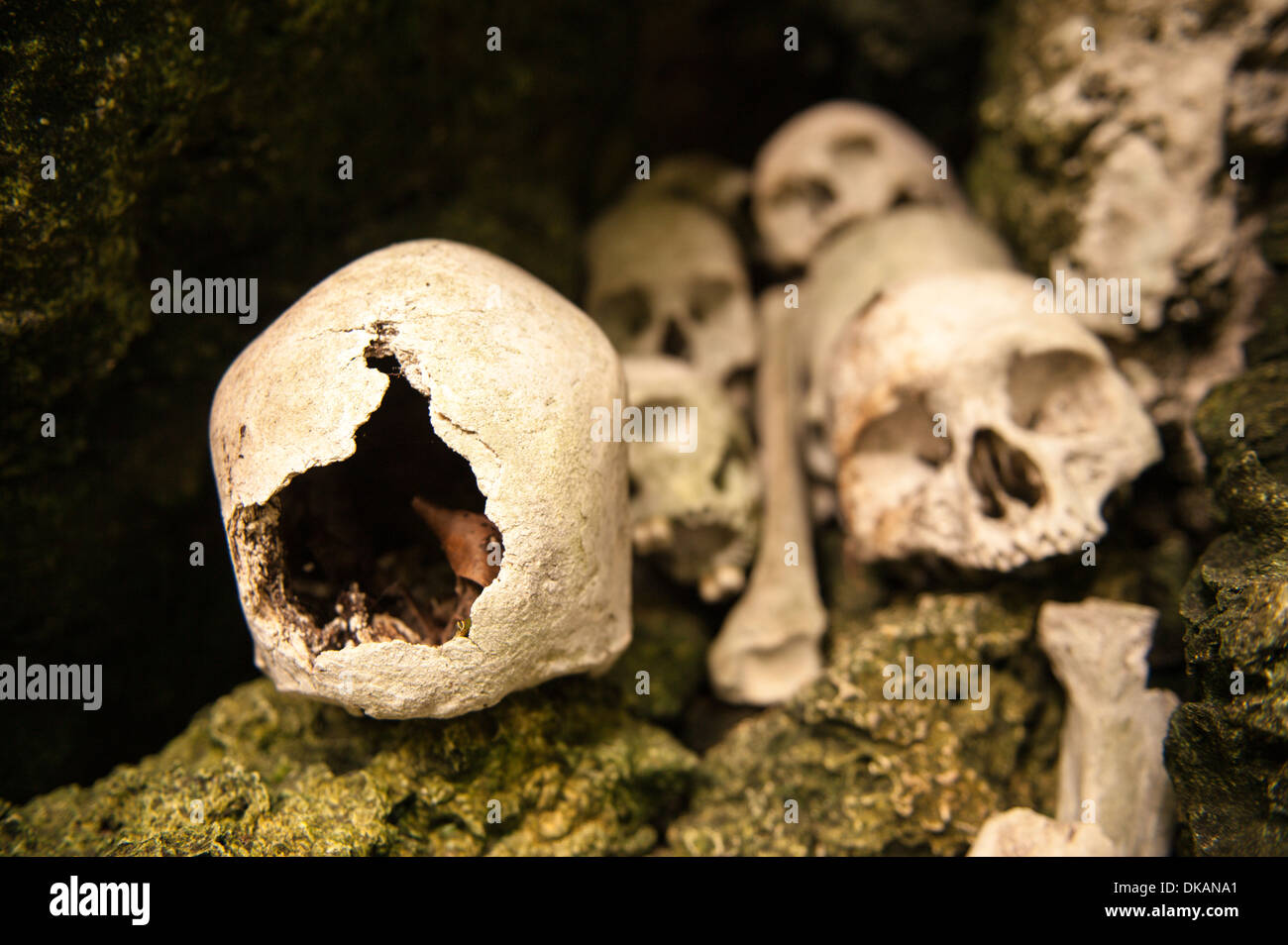 Schädel, was uns gesagt wurde, wurden Überreste von Feinden getötet und gegessen werden von Kannibalen auf der Insel Narocake, Fulaga, Laus, Fidschi Stockfoto