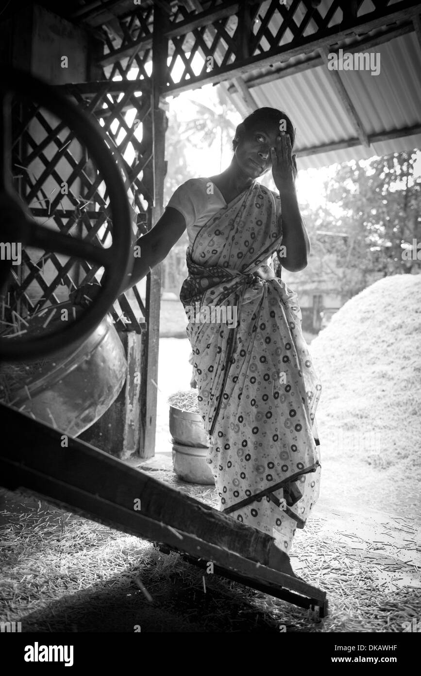 Frau in einer Matchstick Fabrik, Kollam, Indien Stockfoto