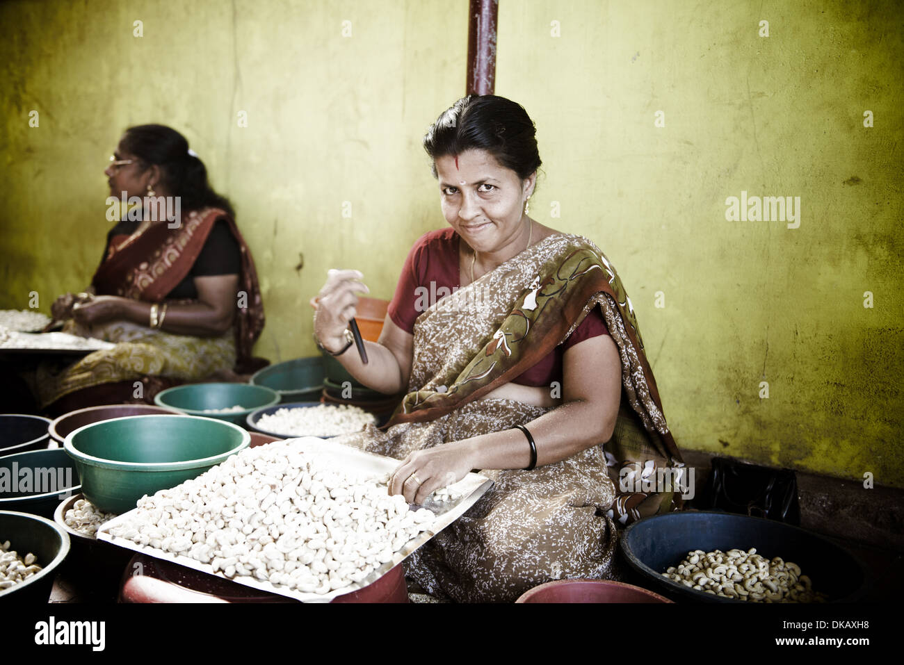 Cashew-Nüssen Peeling von hand. Kollam, Indien Stockfoto