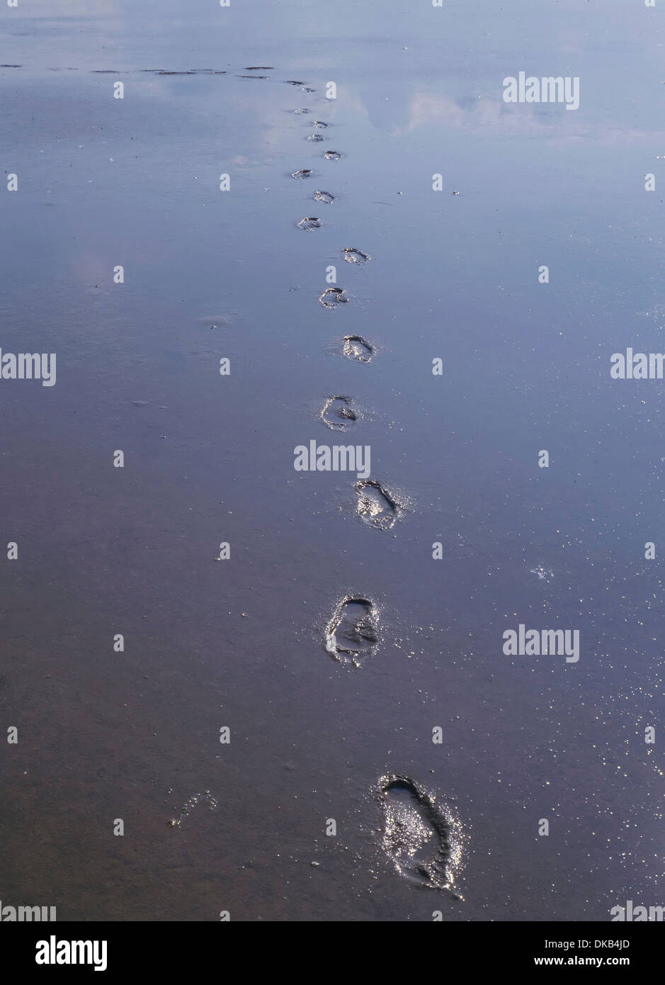 Fußspuren im Schlamm Wattenmeer, letztes Im Watt Wattenmeer Stockfoto