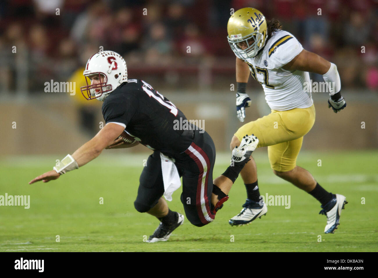 1. Oktober 2011 - Stanford, Kalifornien, USA - UCLA defensive End Damien Holmes (97) jagt Stanford quarterback Andrew Luck (12) während der NCAA Football-Spiel zwischen der Stanford Cardinal und die UCLA Bruins im Stanford Stadium in Stanford, Kalifornien.  Stanford rollte UCLA 45-19. (Kredit-Bild: © Matt Cohen/Southcreek/ZUMAPRESS.com) Stockfoto