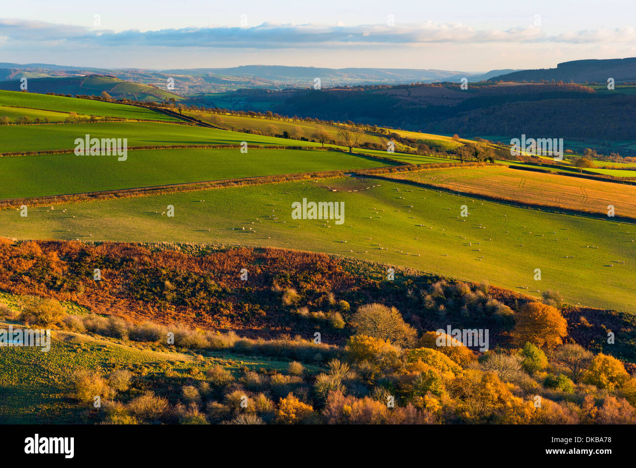 South Shropshire Landschaft von Gräben begraben Eisenzeit Wallburg, England Stockfoto