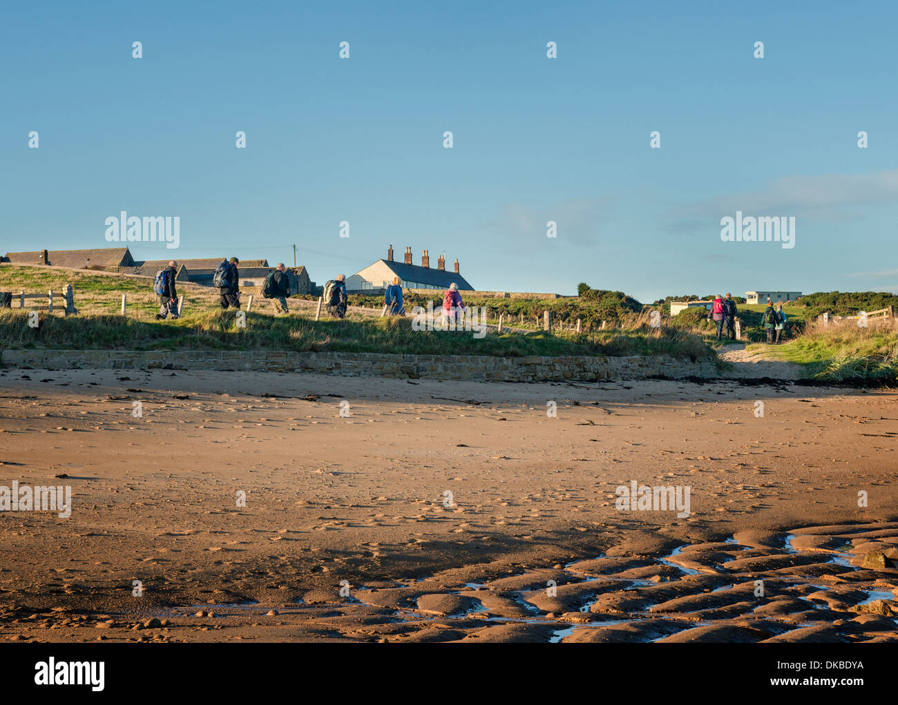 Wanderer auf dem Northumberland Küstenpfad in der Nähe von Howick Stockfoto