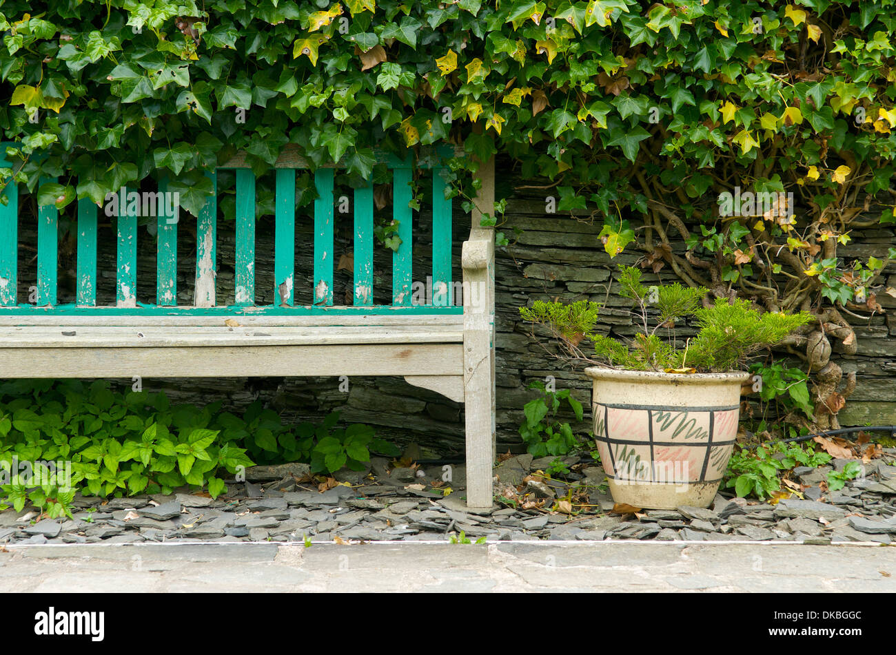 Gartenbank unter Efeu, Uk Stockfoto