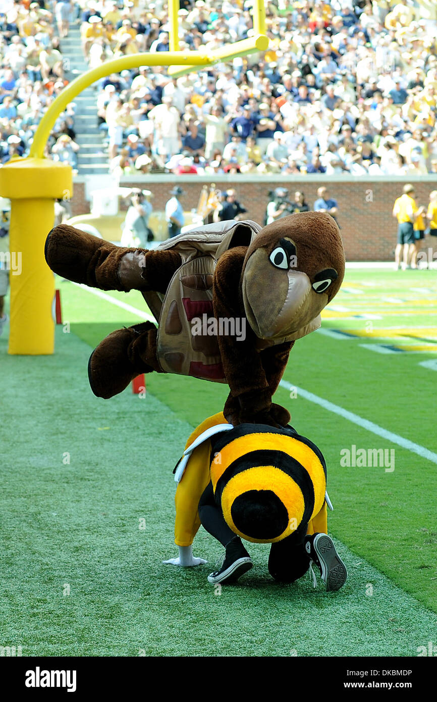 8. Oktober 2011 - Atlanta, Georgia, USA - Buzz und der Maryland-Maskottchen-Gerangel im Bobby Dodd Stadium in Atlanta Georgia.  Georgia Tech gewinnt 21-16 (Credit-Bild: © Marty Bingham/Southcreek/ZUMAPRESS.com) Stockfoto