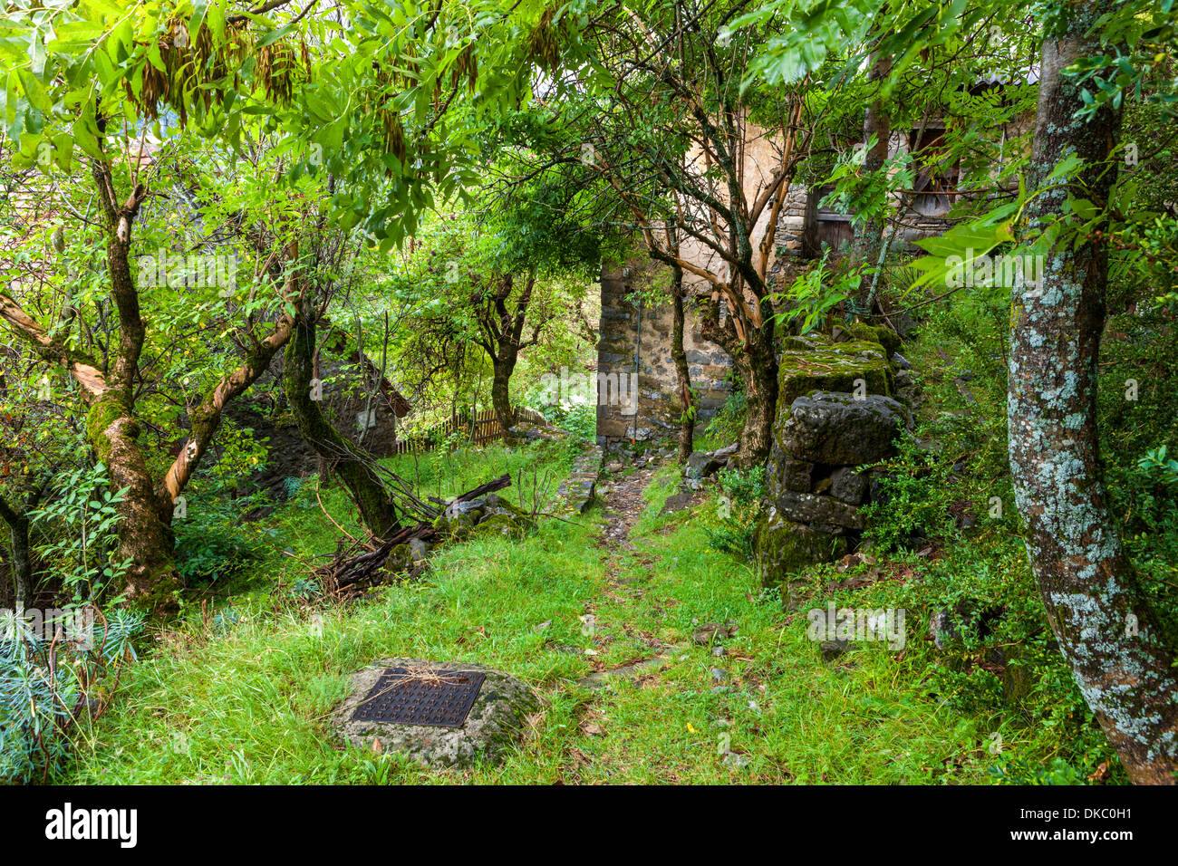 Revilla Dorf, Provinz Huesca, Aragon, Spanien, Europa. Stockfoto