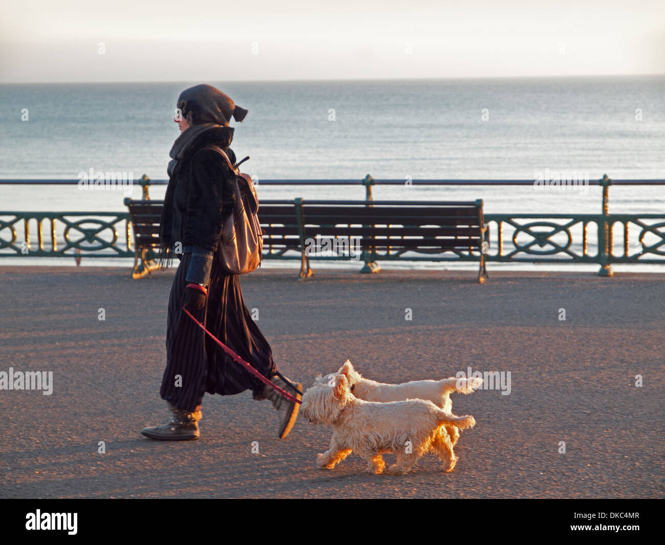 Hund zu Fuß entlang der Strandpromenade in Hove, Brighton Stockfoto