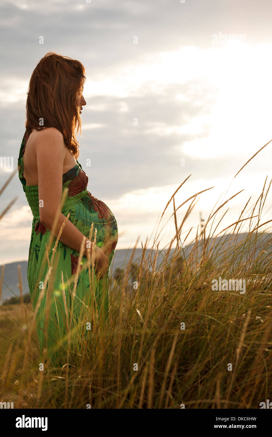 Schwangere Frau im Feld Stockfoto