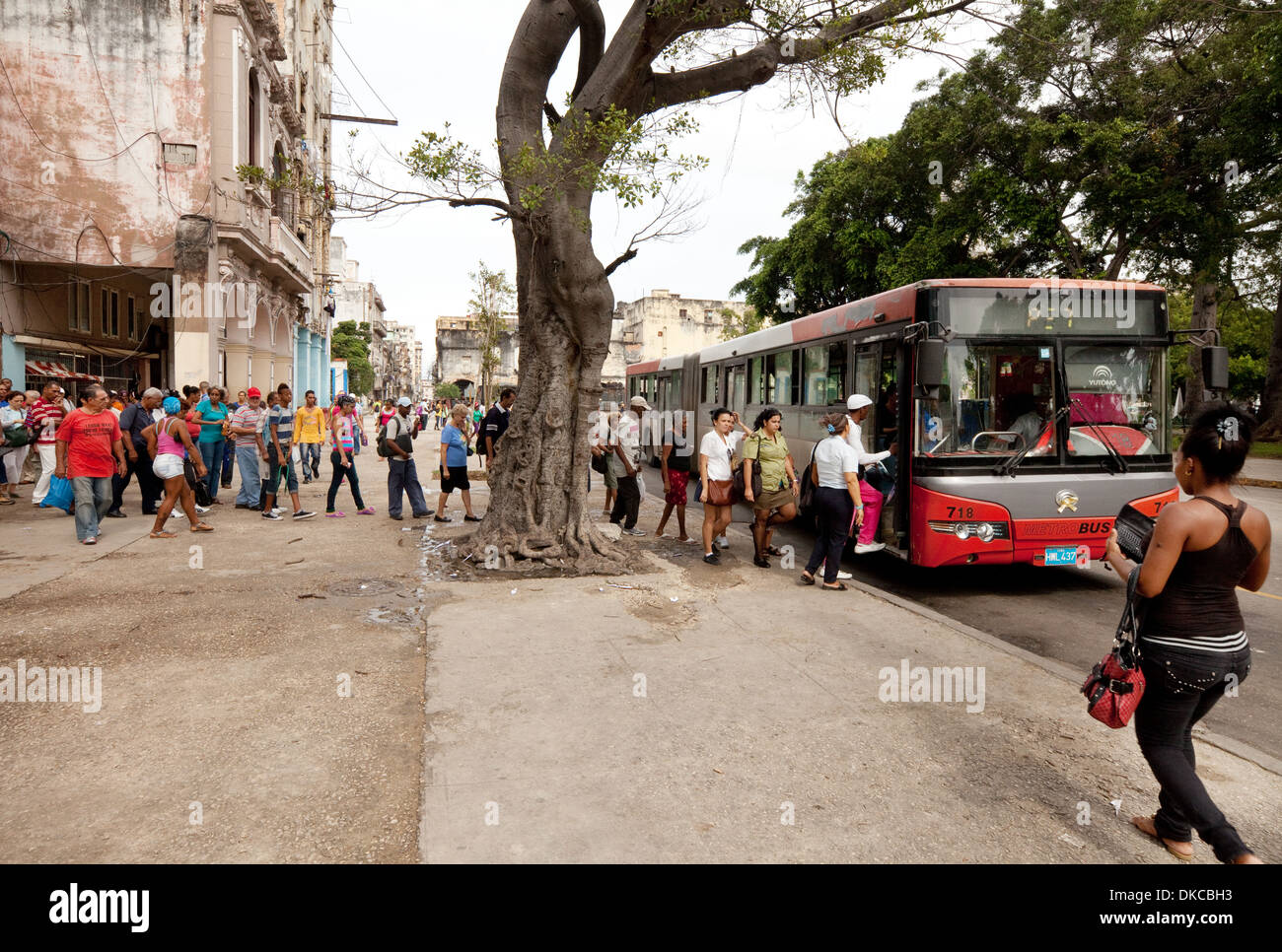 Menschen warten in einer langen Schlange für einen Bus, Havanna, Kuba, Karibik Stockfoto
