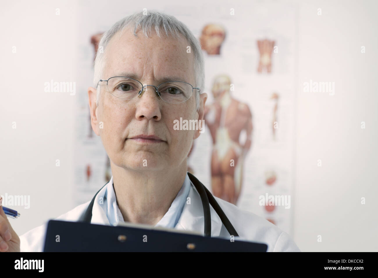 eine Frau Doc mit einem menschlichen Muskel Person Plakat im Hintergrund Stockfoto