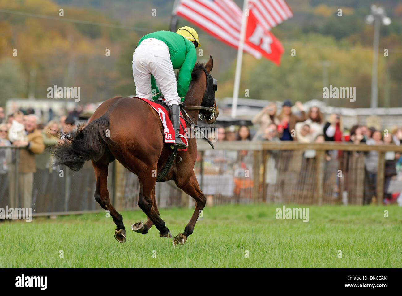 22. Oktober 2011 - gewinnt weit Hills, New Jersey, USA - Carl Rafter an Bord Lake Placid Foxbrook Champion Hurdle Jahrestagung 91. Far Hills Race in Far Hills, NJ am 22.10.11. Von Joseph Delozier ausgebildet (Bild Kredit: Ryan Lasek/Eclipse/ZUMAPRESS.com ©) Stockfoto