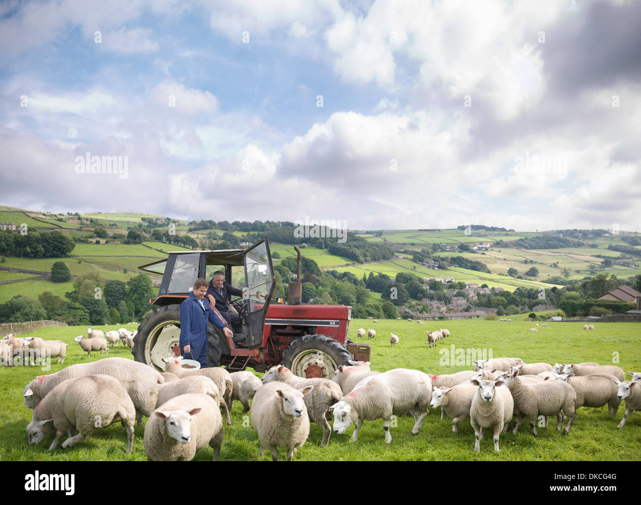 Landwirt in Traktor mit Sohn gerade Schafe im Feld Stockfoto