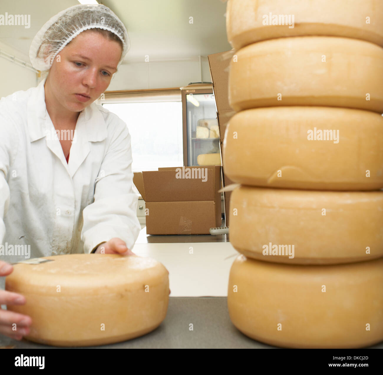 Arbeiter mit Haufen von Käse runden werkseitig Bauernhof Stockfoto