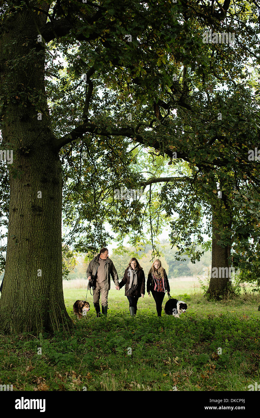 Älteres Paar und Enkelin Hunde, Norfolk, Großbritannien Stockfoto