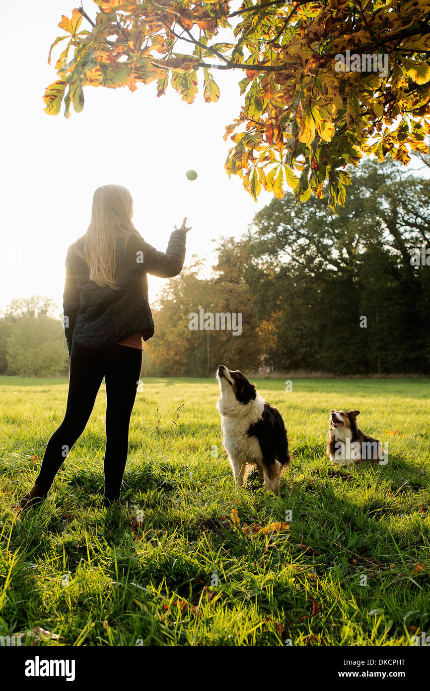 Teenager-Mädchen spielen Ball mit Hunden, Norfolk, Großbritannien Stockfoto