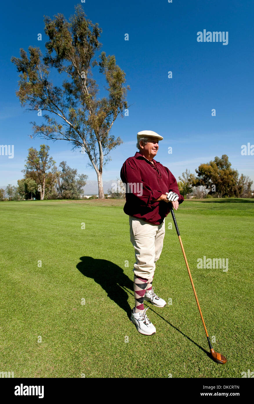 28. Oktober 2011 - Chino Hills, CA, USA - Wes Channell wartet auf das Grün, klar vor ihm während des Spiels in einem Hickory Golf Collectors Society (Holz Achs) Golfturnier im Los Serranos Country Club. Die GCS ist eine internationale Organisation zur Bewahrung der Schätze und Traditionen des Golfsports. (Kredit-Bild: © Brian Cahn/ZUMAPRESS.com) Stockfoto