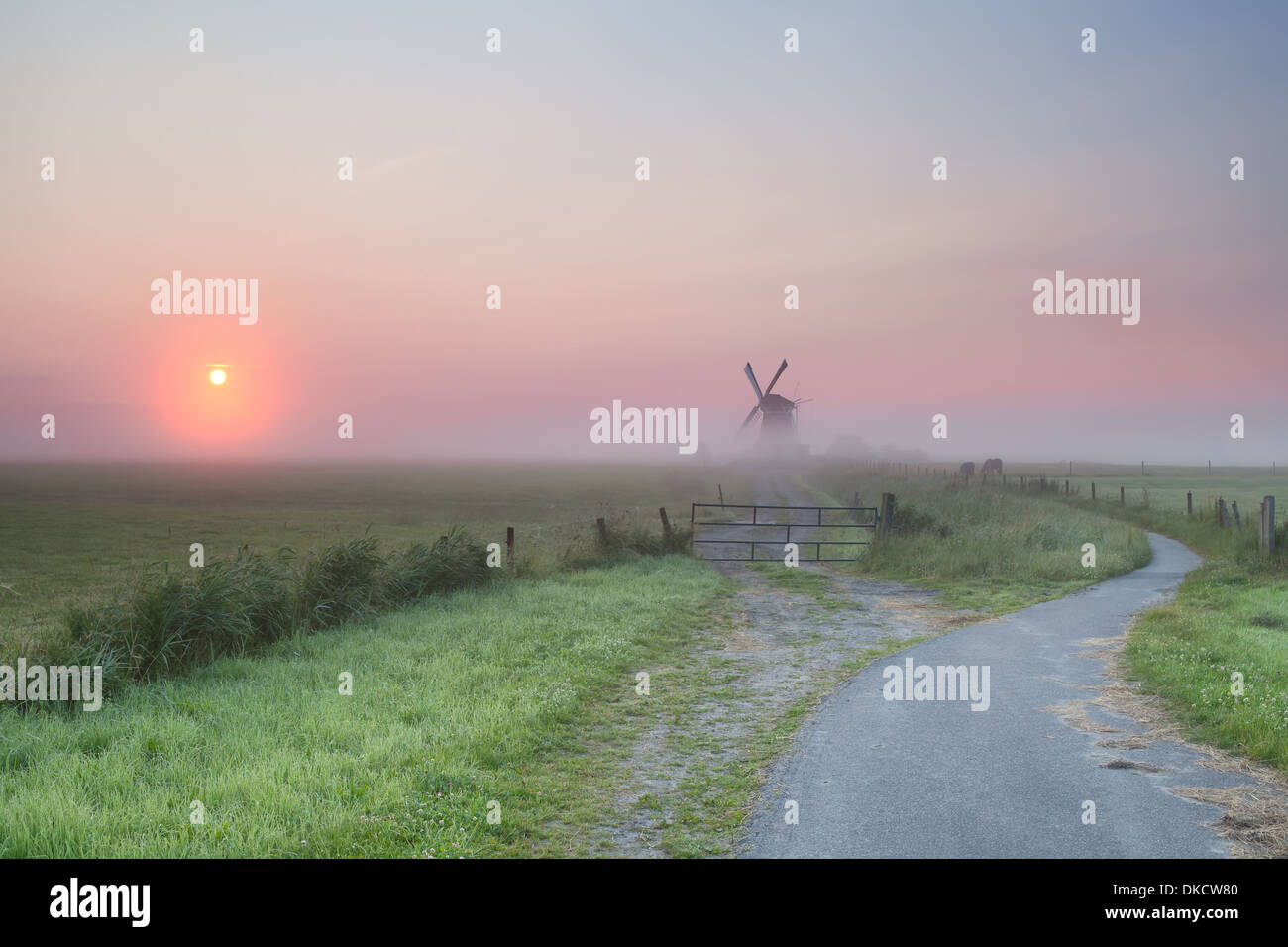 nebligen Sommer Sonnenaufgang über dem niederländischen Ackerland mit Windmühle, Holland Stockfoto