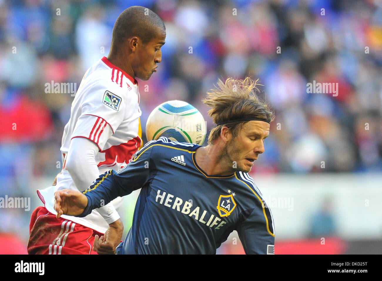 30. Oktober 2011 - Harrison, New Jersey, USA - New York Red Bulls Verteidiger Roy Miller (7) und Los Angeles Galaxy Mittelfeldspieler David Beckham (23) in Major League Soccer Playoff-Aktion im Red Bull Stadion in Harrison New Jersey Los Angeles besiegt New York 1 zu 1 (Credit-Bild: © Brooks Von Arx/Southcreek/ZUMAPRESS.com) Stockfoto