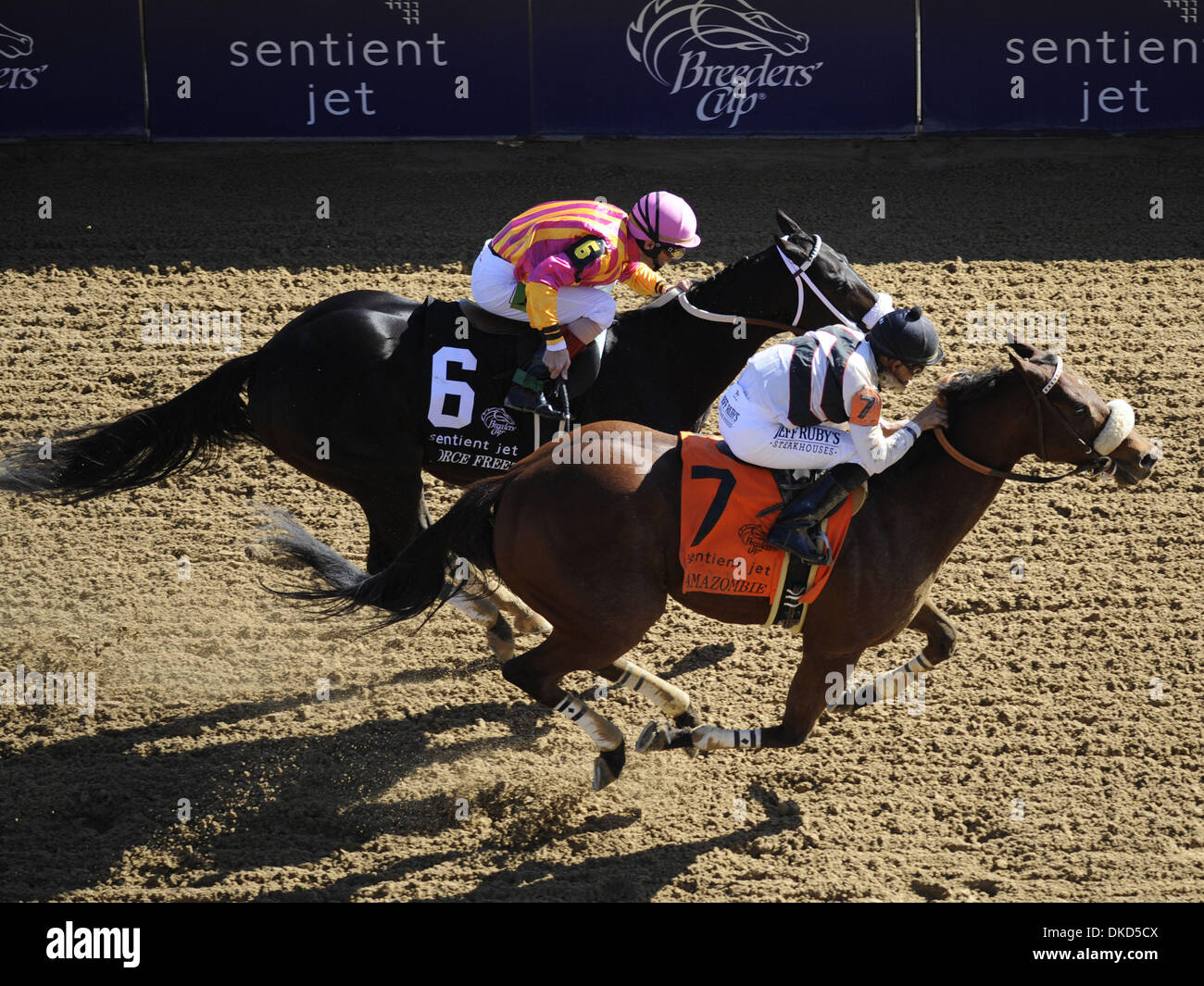 5. November 2011 - Louisville, KY, US - Nov.5, 2011.Caspar Netscher geritten von Kieren Fallon übernimmt die Führung in der Strecke und gewinnt den Breeders' Cup Juvenile Turf in Churchill Downs in Louisville, KY (Credit-Bild: © Cynthia Lum/Eclipse/ZUMAPRESS.com) Stockfoto