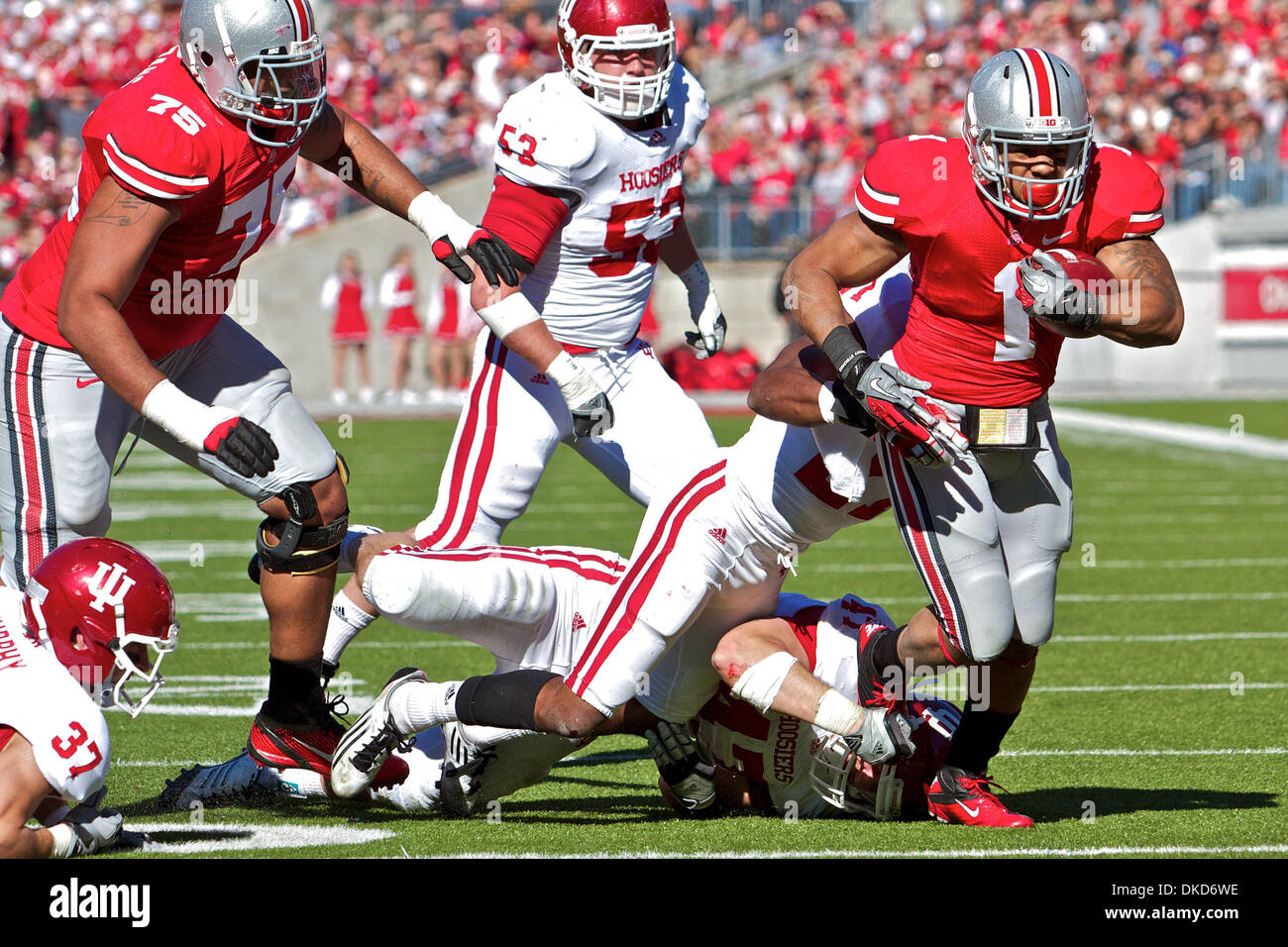 5. November 2011 - Columbus, Ohio, USA - Ohio State Buckeyes laufen zurück, dass Dan Herron (1) von Indiana Hoosiers Defensive angegangen ist Alexander Webb (27) und Hoosiers Linebacker Chase Hoobler (47) zurück auf eine Flucht im dritten Quartal des Spiels zwischen Indiana und Ohio State University in Ohio Stadium, Columbus, Ohio.  Ohio State besiegt Indiana 34-20. (Kredit-Bild: © Scott Stuart/Southcreek/ZUMAPRE Stockfoto