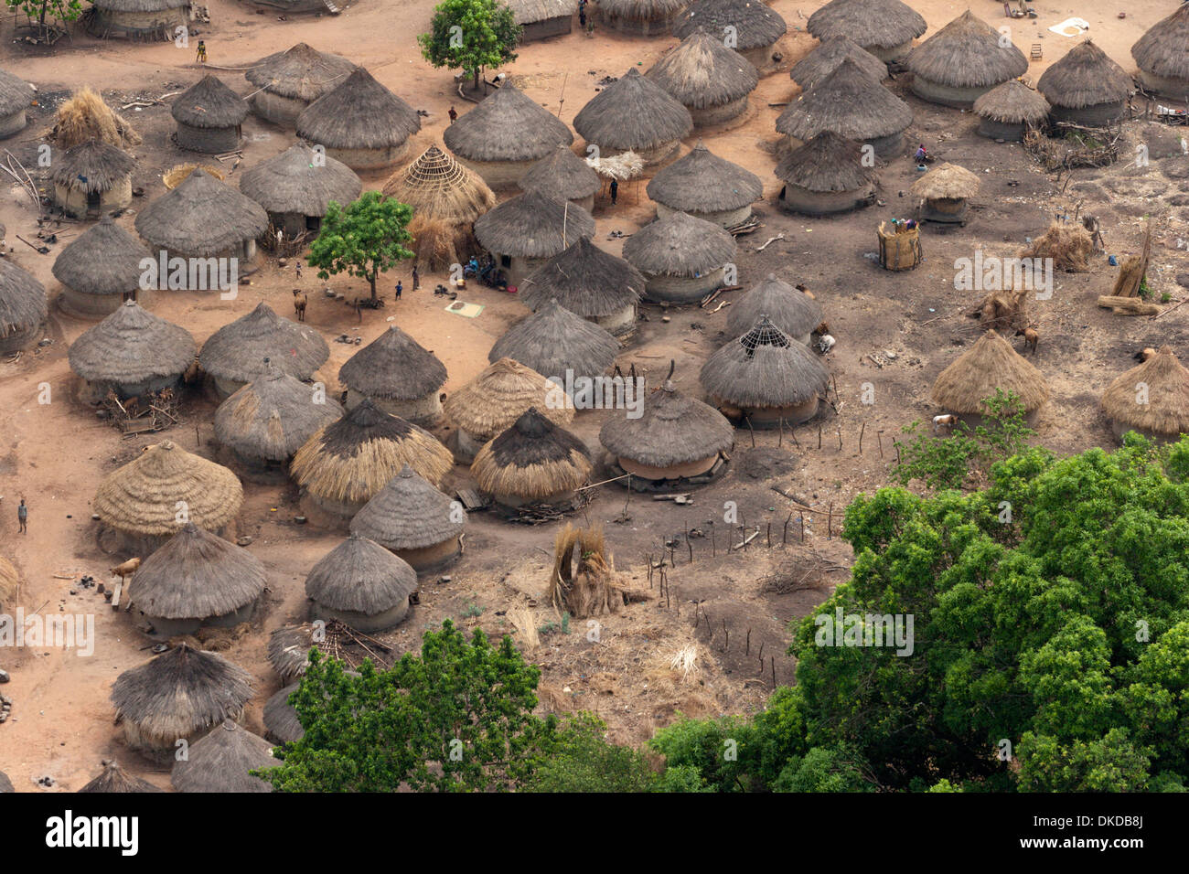 Dorf Guinea Afrika Schlamm Hütte Grasdach Stockfoto
