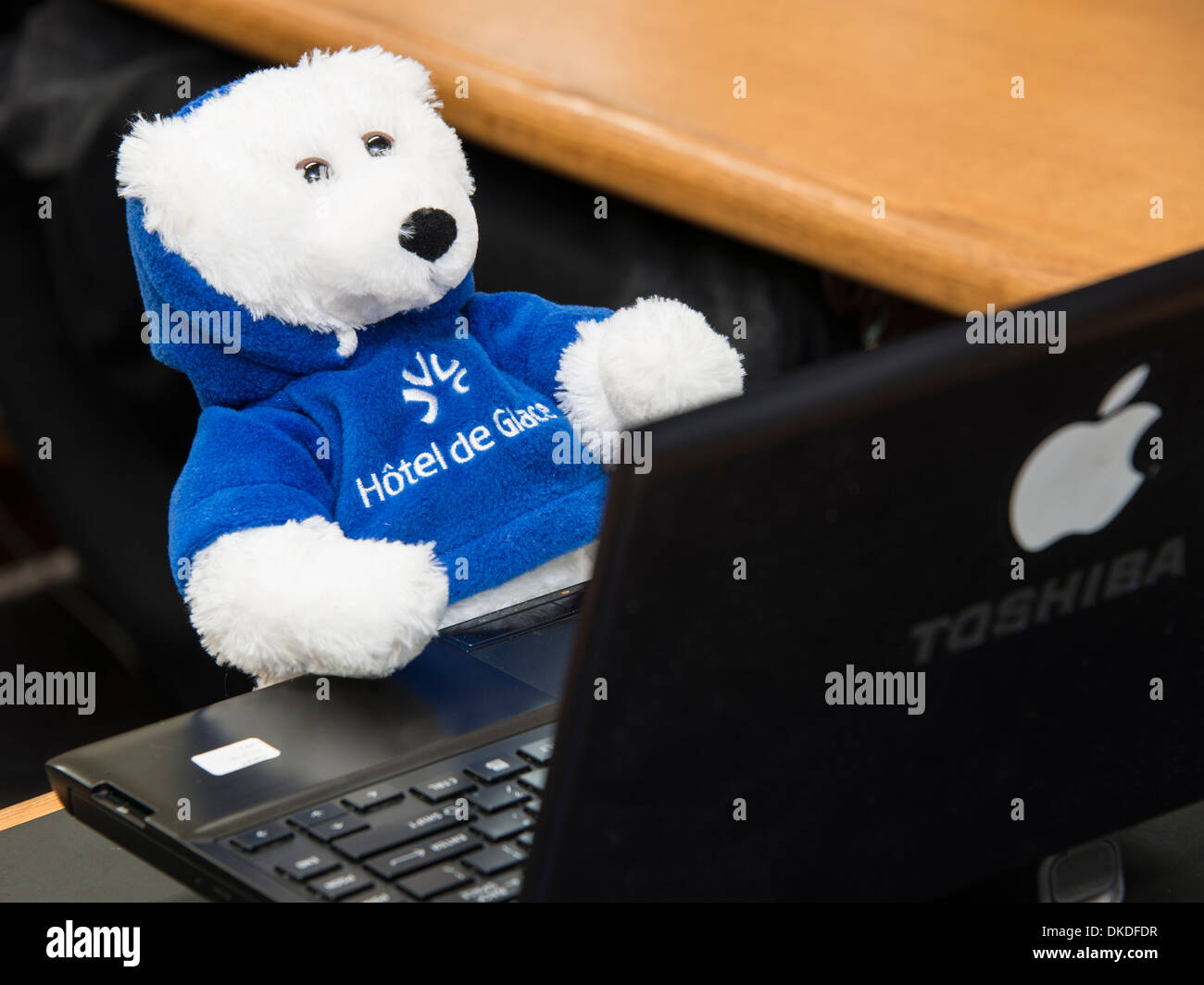 Ice Hotel Bären bei der Arbeit an der Tastatur. Stockfoto