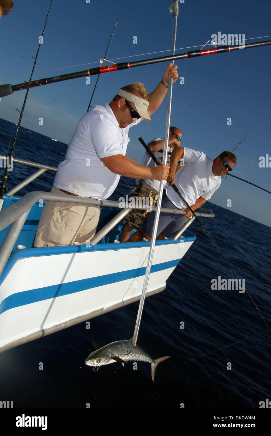 25. April 2007 bringt - Jensen Beach, FL, USA - RYAN NAGEL, Kapitän des Bootes Blue Heron II Drift, eines etwa 20 Kingfish auf der Drift Boot in 90 bis 160 Fuß Wasser letzte Woche aus Jupiter Inlet genommen.  (Kredit-Bild: © Willie Howard/Palm Beach Post/ZUMA Press) Einschränkungen: USA Tabloid Rechte heraus! Stockfoto