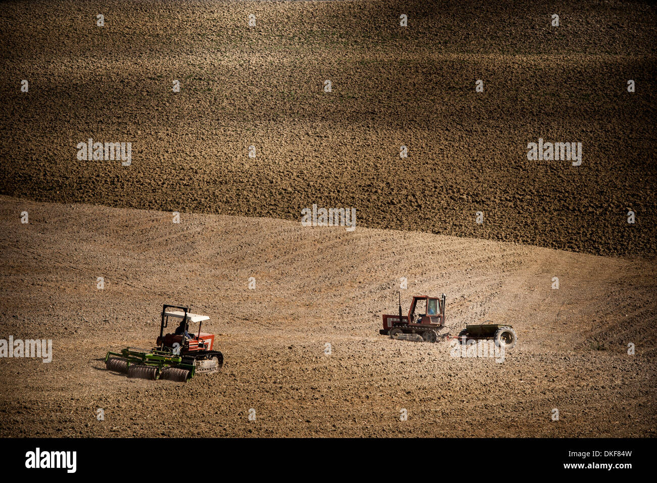 Traktor im Feld, Siena, Valle Orcia, Toskana, Italien Stockfoto