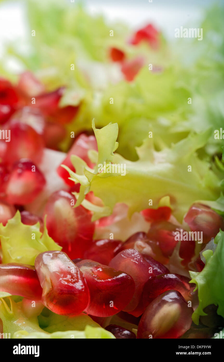 Nahaufnahme von Endivien-Granatapfel-Salat Stockfoto