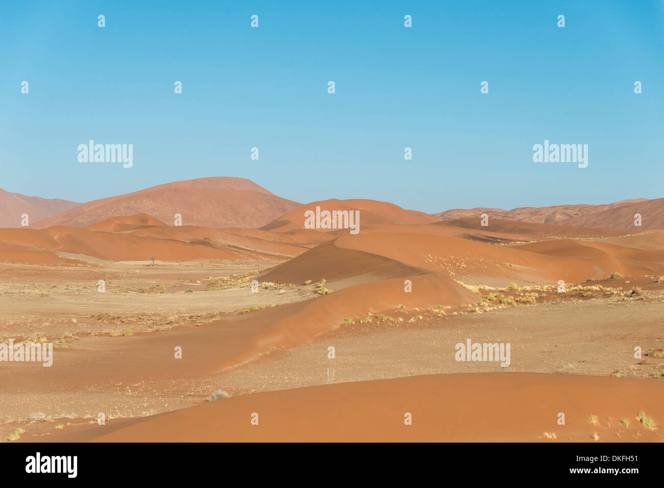 Dünen, Sossusvlei, Namib-Skeleton Coast Nationalpark, Namibia Stockfoto