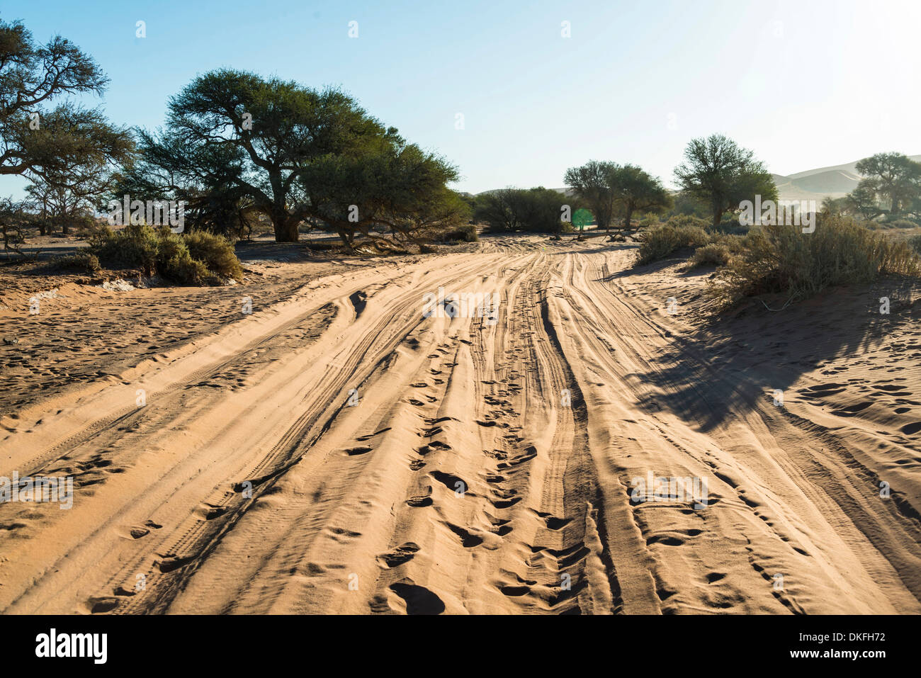 Sandigen Pisten, Sossusvlei, Namib-Skeleton Coast Nationalpark, Namibia Stockfoto