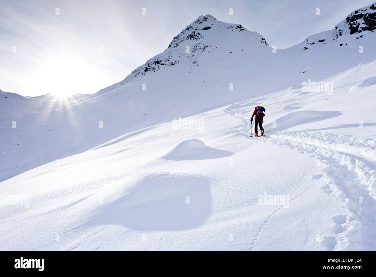 Ski Tourer auf den Aufstieg zum Mt Ellesspitze im Pflerschtal Tal, Wipptal, Südtirol, Trentino-Alto Adige, Italien Stockfoto