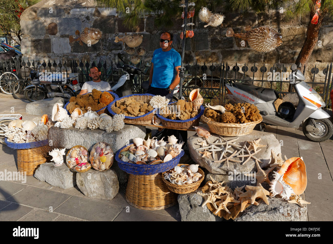 Marktstand verkaufen Schwämme, Korallen und Muscheln, Bodrum, Provinz Muğla, Ägäis, Türkei Stockfoto