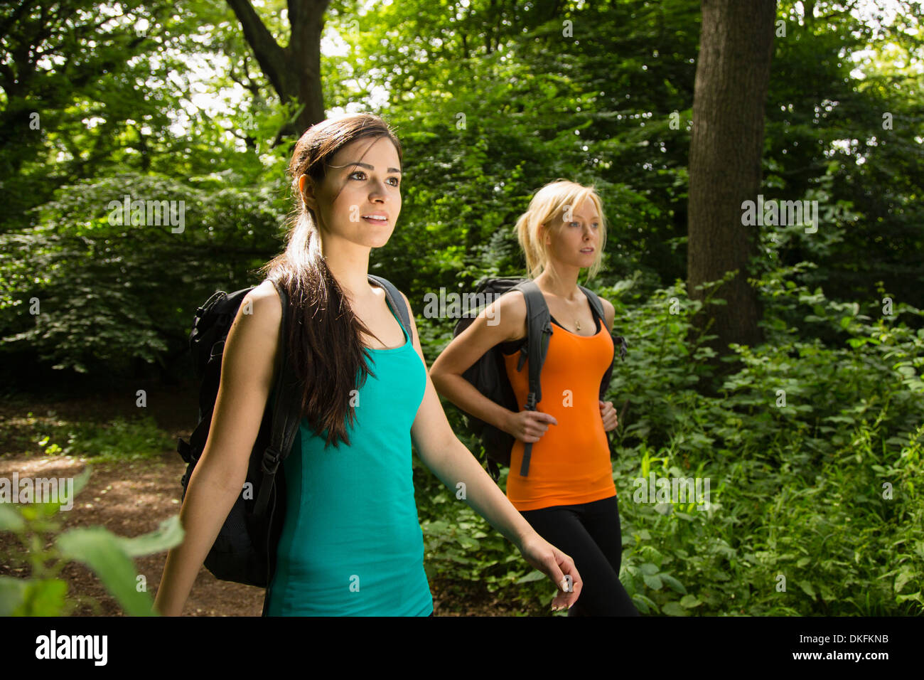 Frauen beim Spaziergang im Wald Stockfotografie Alamy